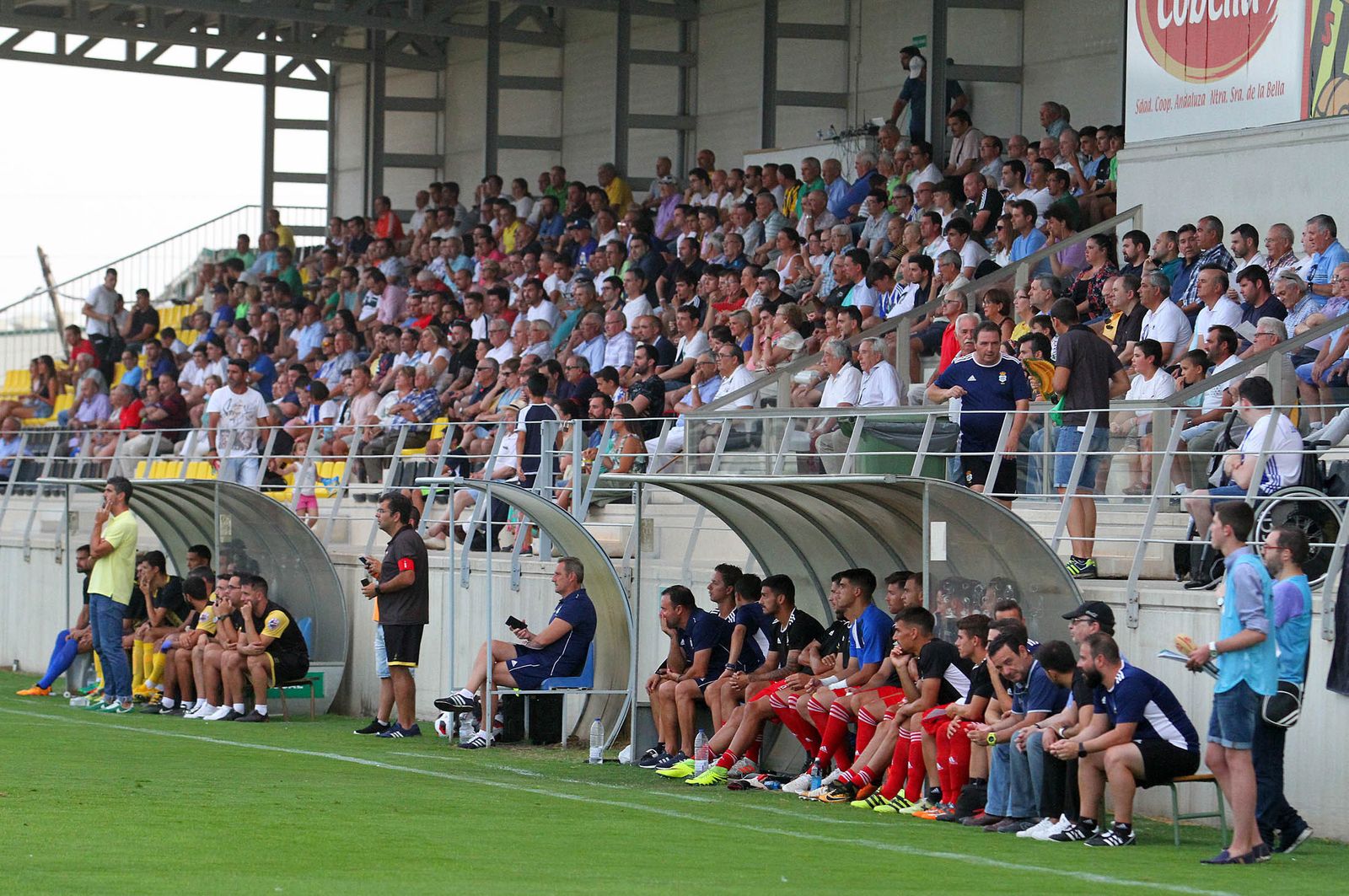 Los aficionados del Recre podrán seguir al Decano por la pequeña pantalla.