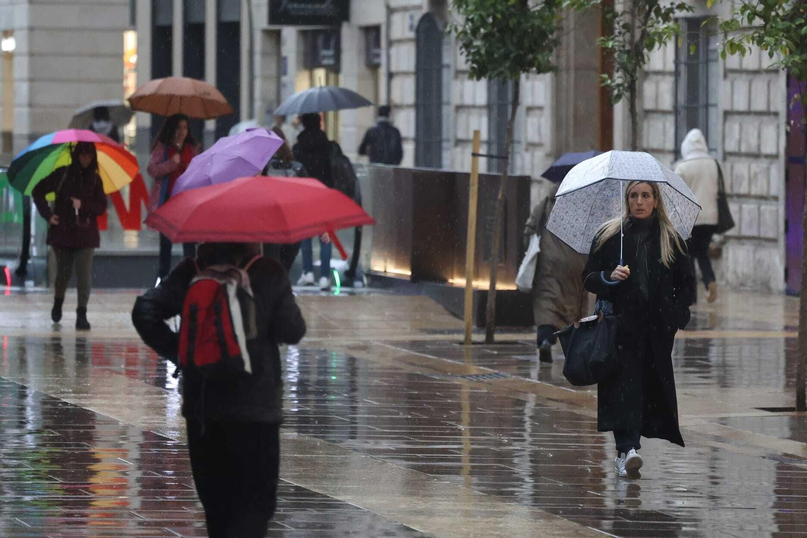 Las imágenes de la lluvia de la borrasca Karlotta en Málaga Las imágenes de la lluvia de la borrasca Karlotta en Málaga