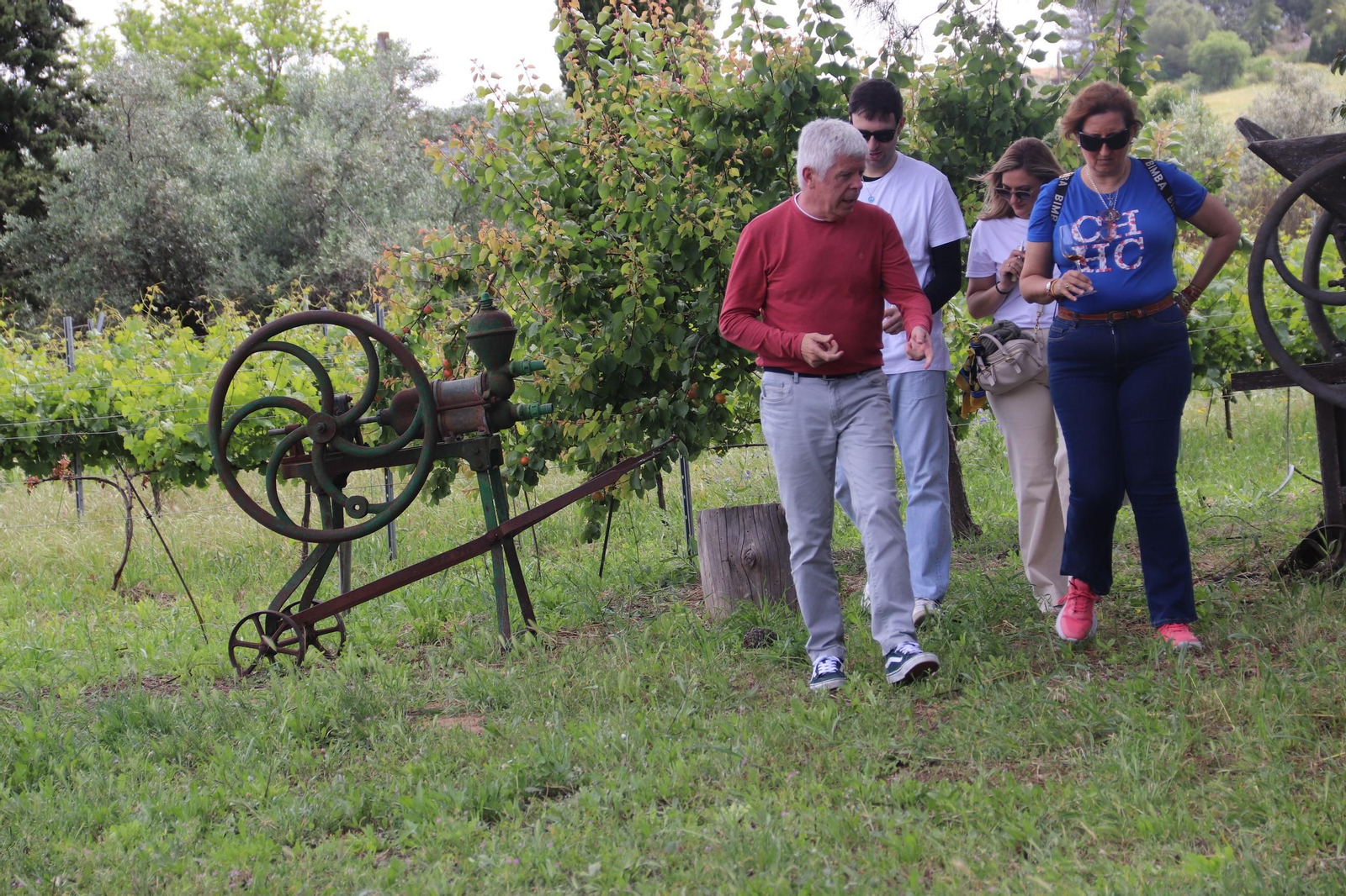 El Festival Patios de Bodega de Montilla, en imágenes