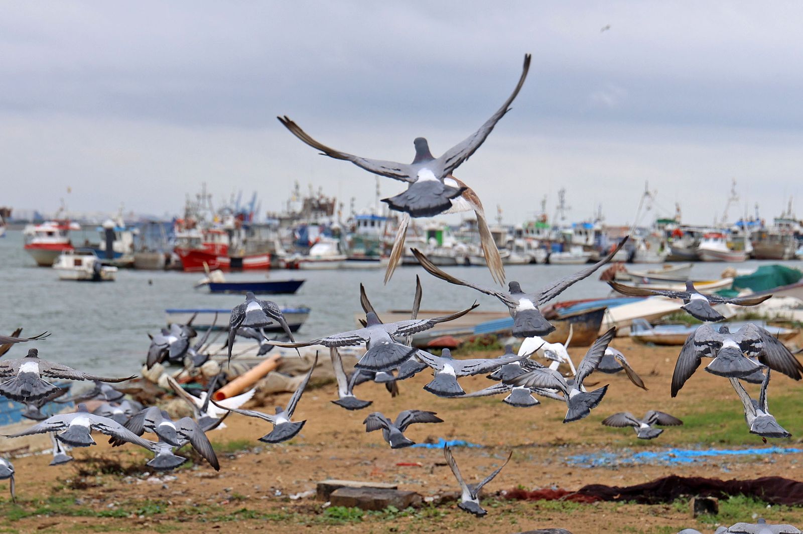 Imágenes del paso de la DANA por Huelva