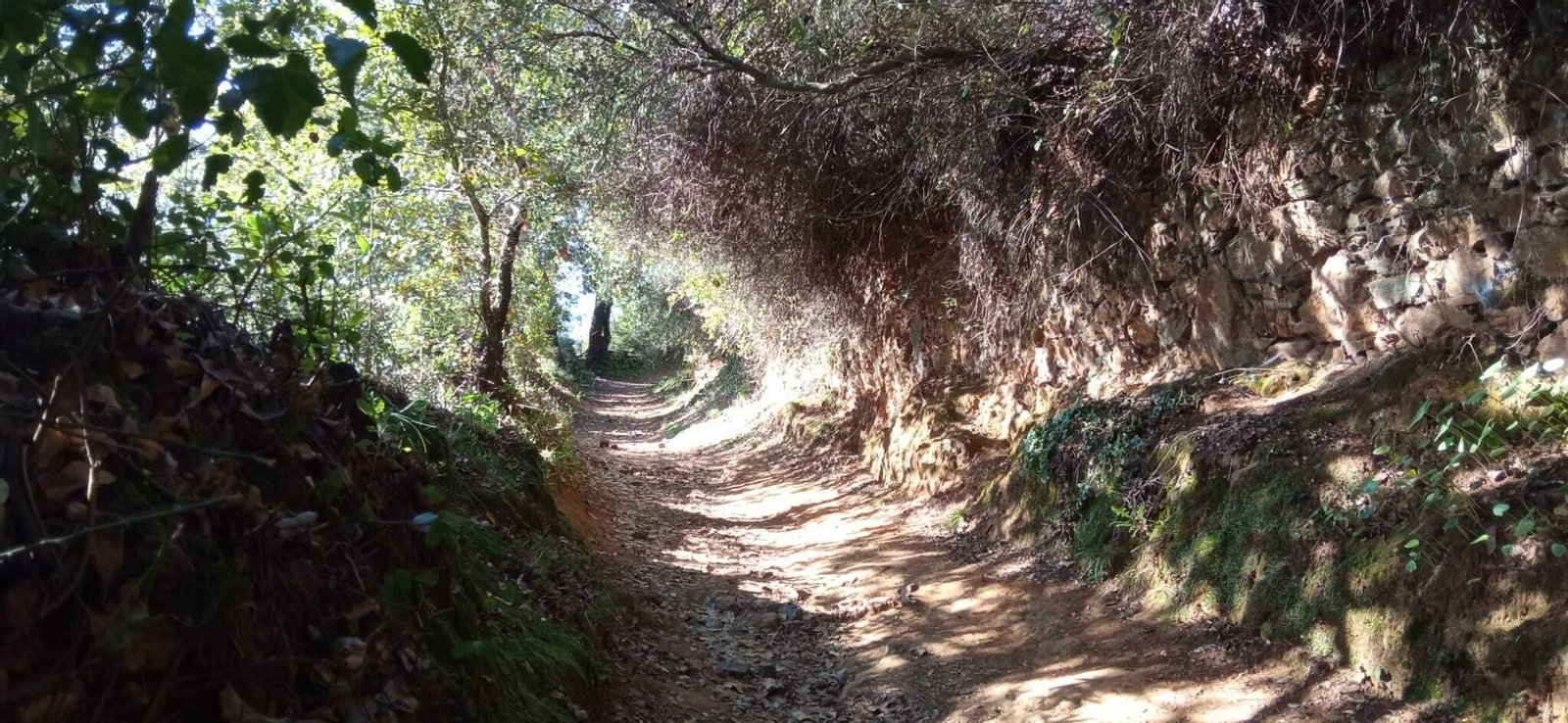 Fotos de la Ruta circular Aracena-Linares de la Sierra-Aracena