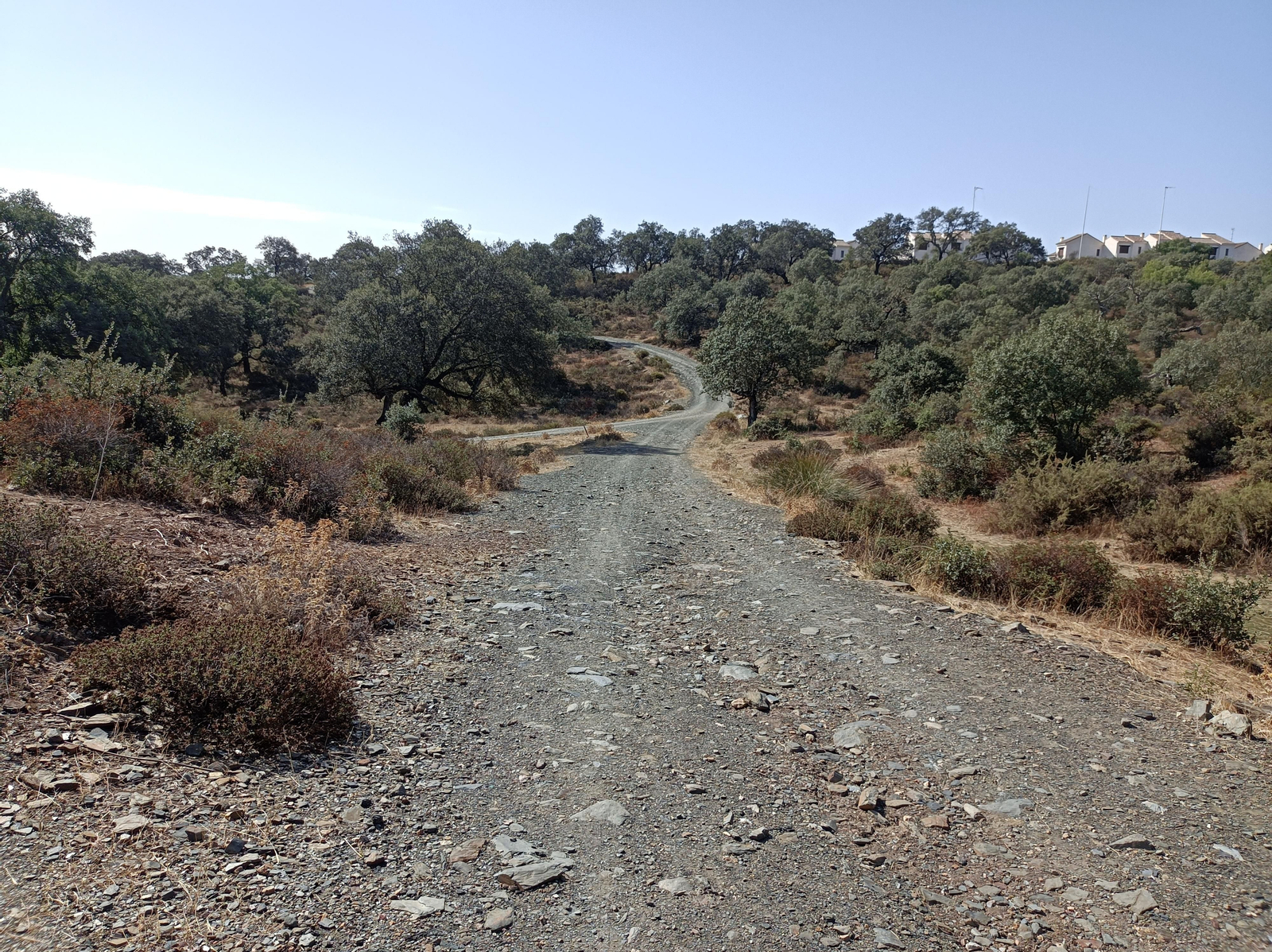 Fotos de la ruta de Los Brezales-Umbría de Santa Fe en el Ronquillo