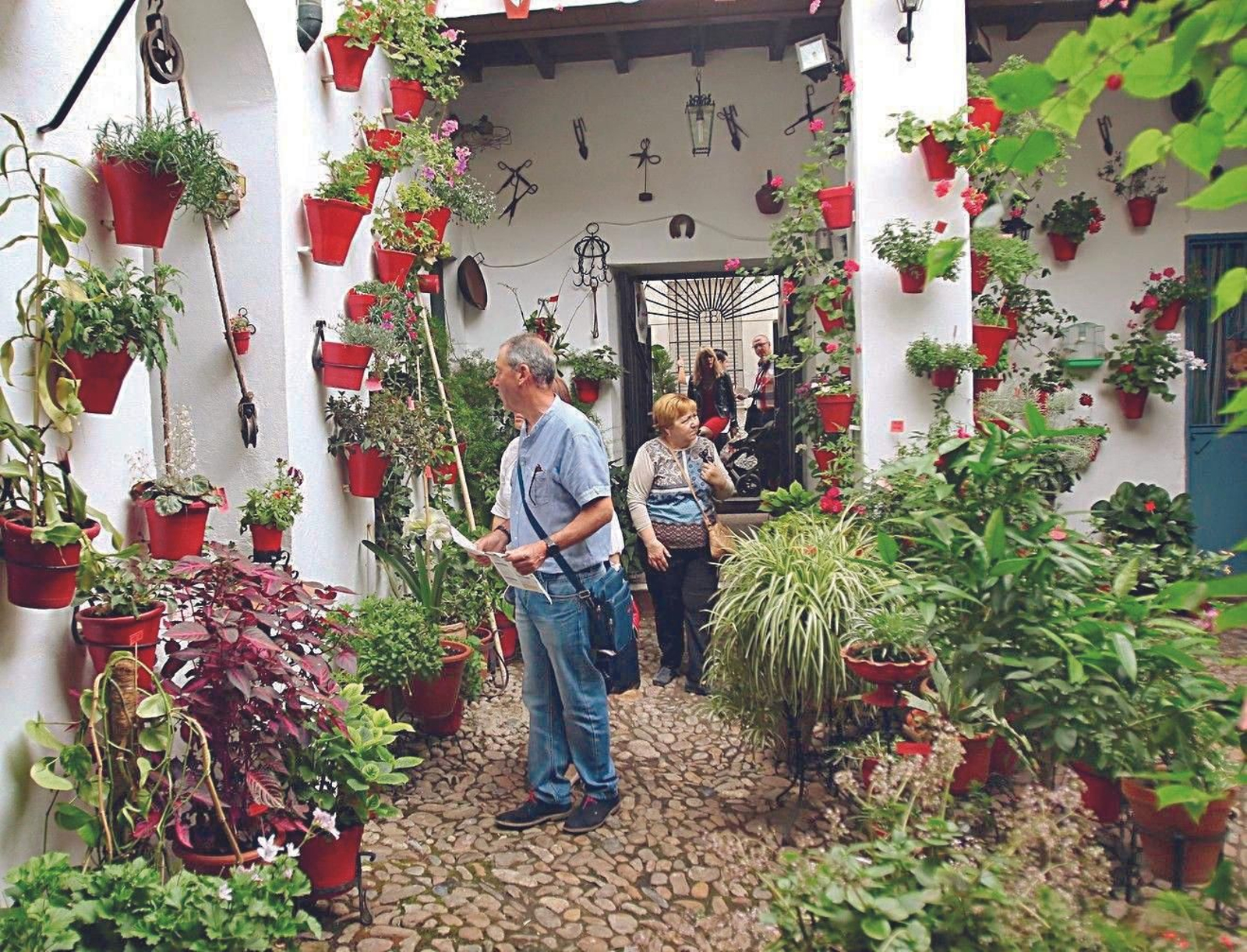 Guía de los Patios: Mariano Amaya, 4