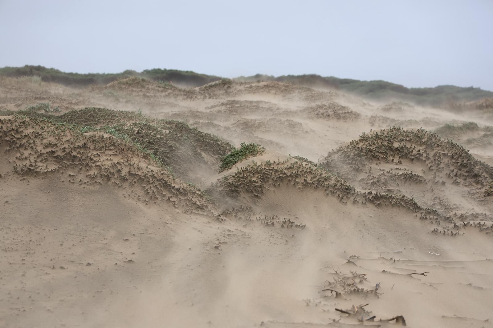 Fotografías de El Portil y El Rincón, donde los vecinos han sido desalojados por la borrasca Leonardo