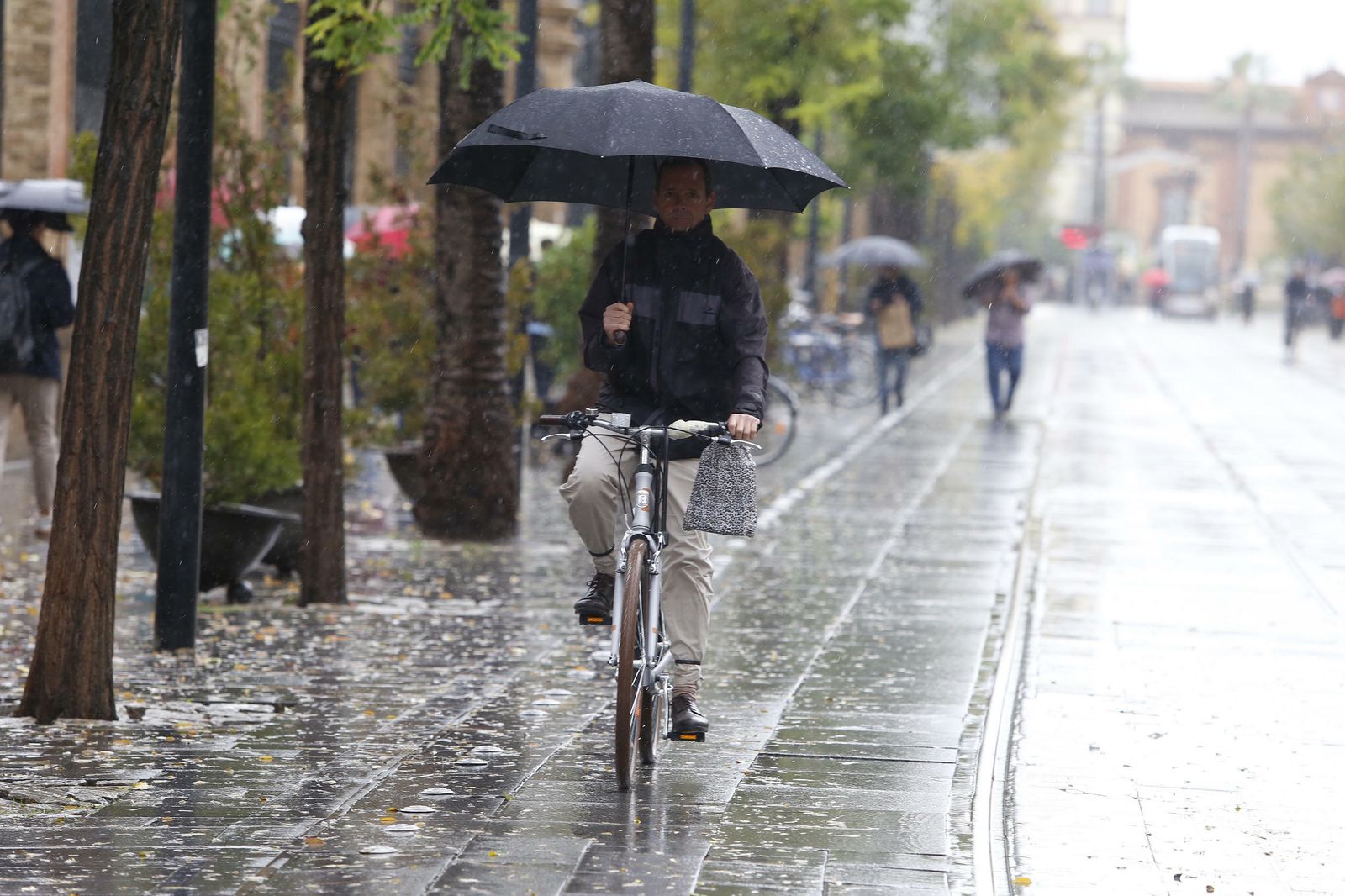 Las imágenes del temporal en Sevilla