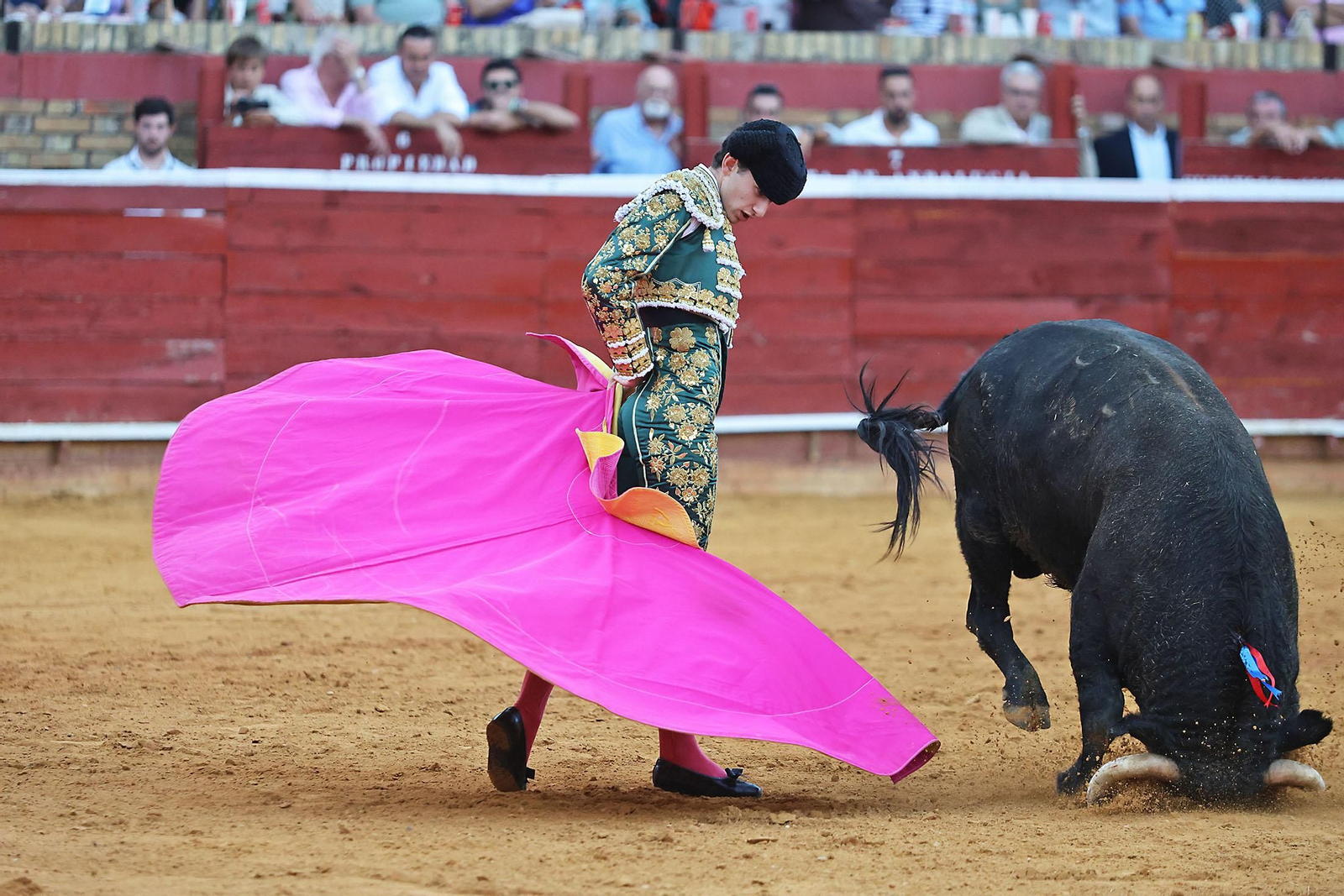 Toros La Merced 2024 Novillada con picadores(