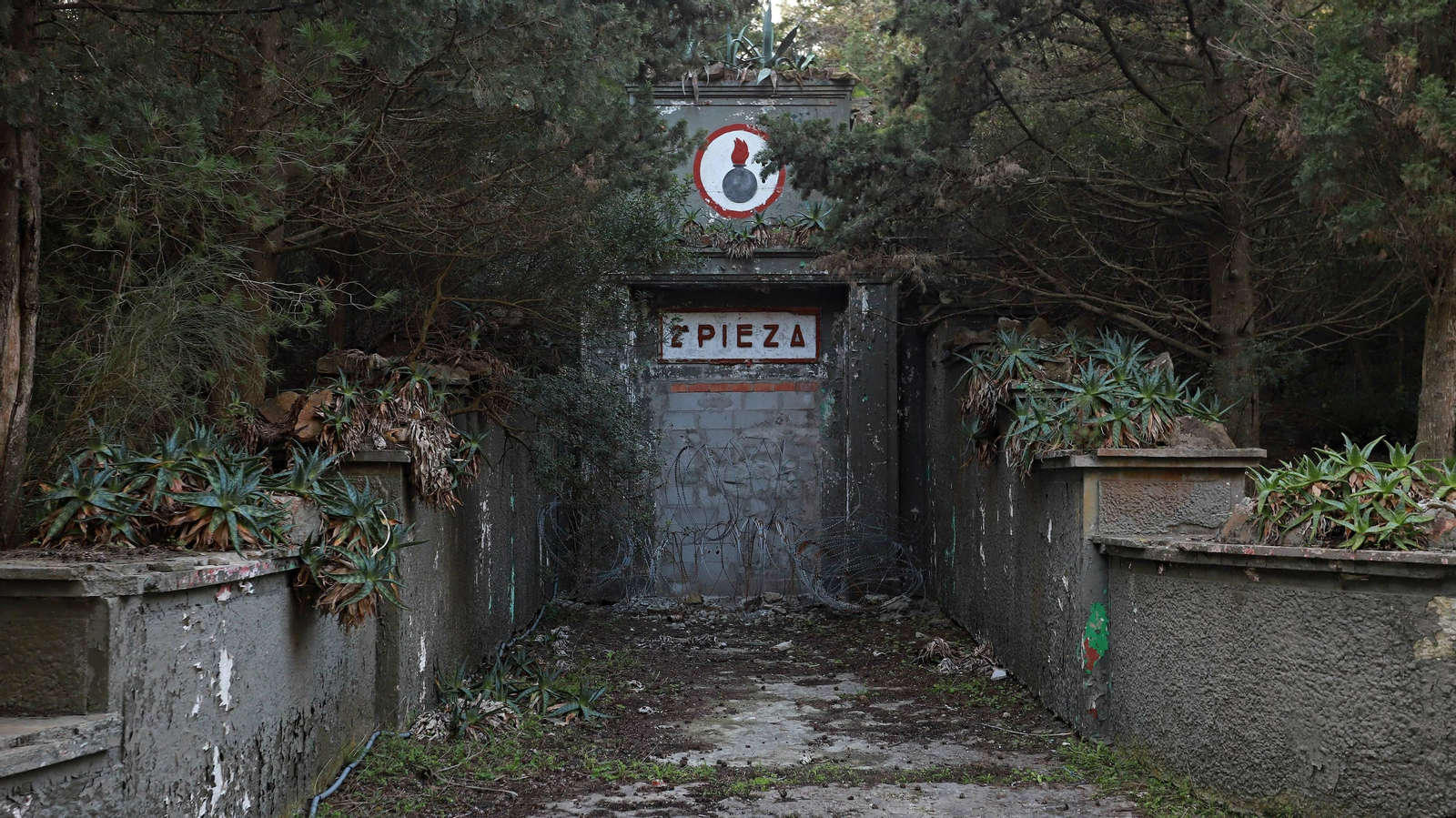 Las mejores fotos de Paloma Alta