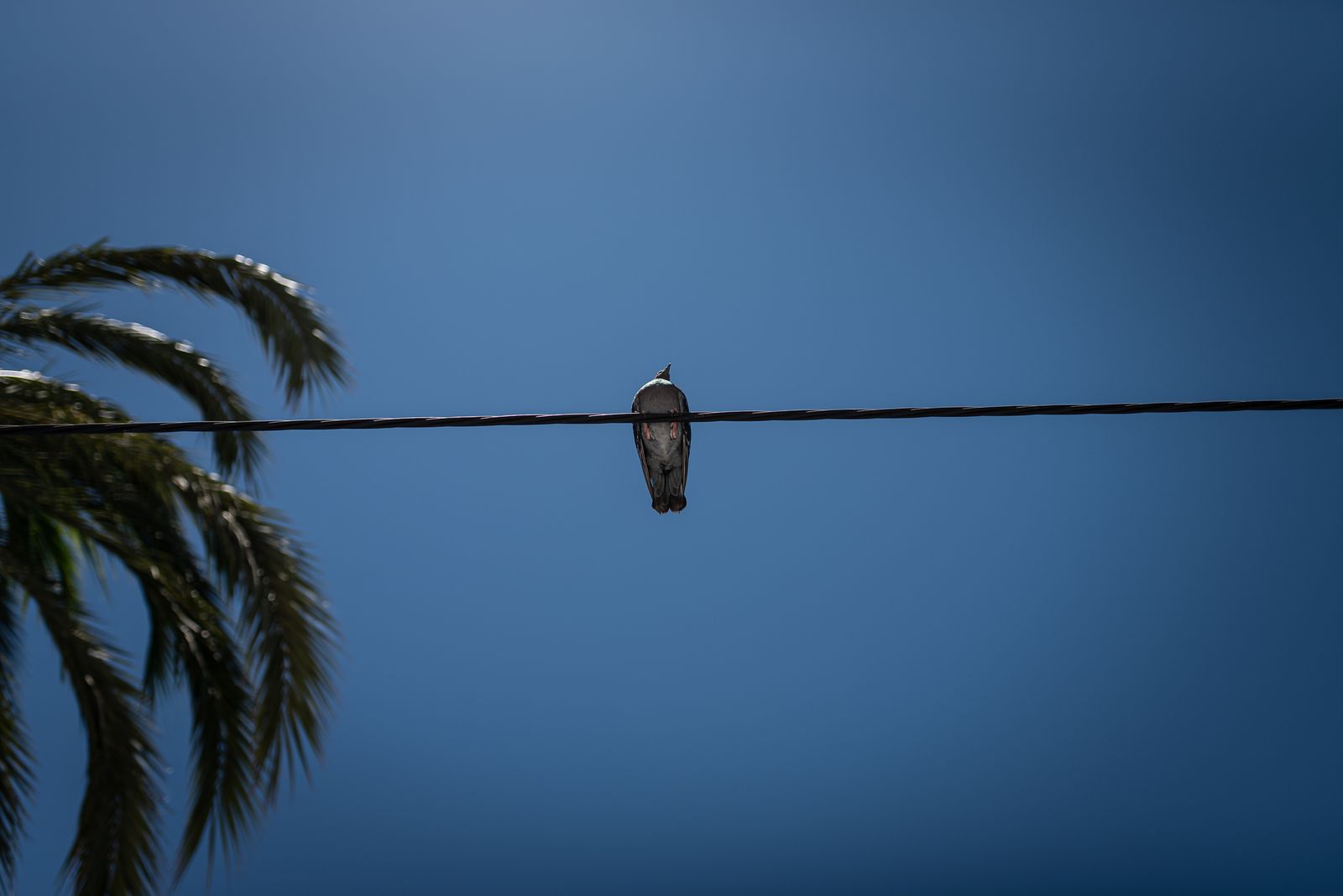 Imágenes del sábado 7 de agosto en Huelva