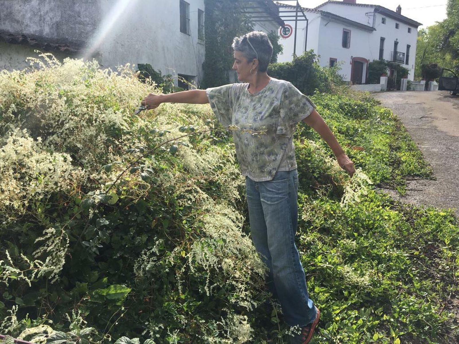 Charo Feria recogiendo plantas para realizar sus prendas.