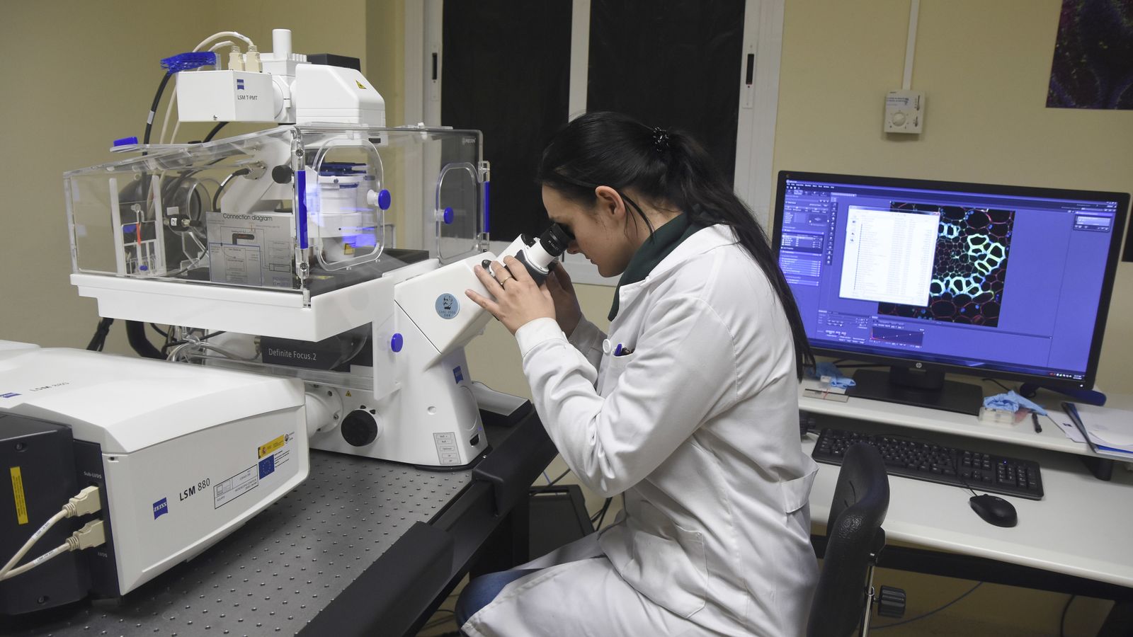 Una científica de la UCO observa los resultados de un estudio