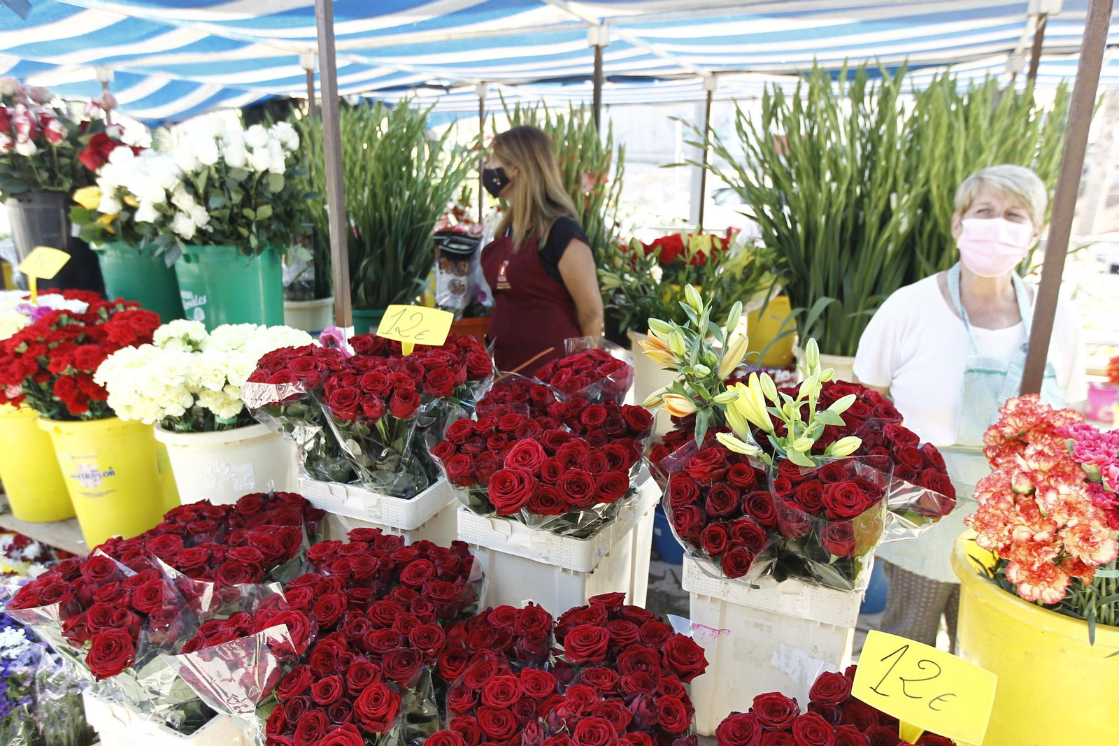 Fotogalería Día de Todos los Santos. Cementerio de San José. Almería