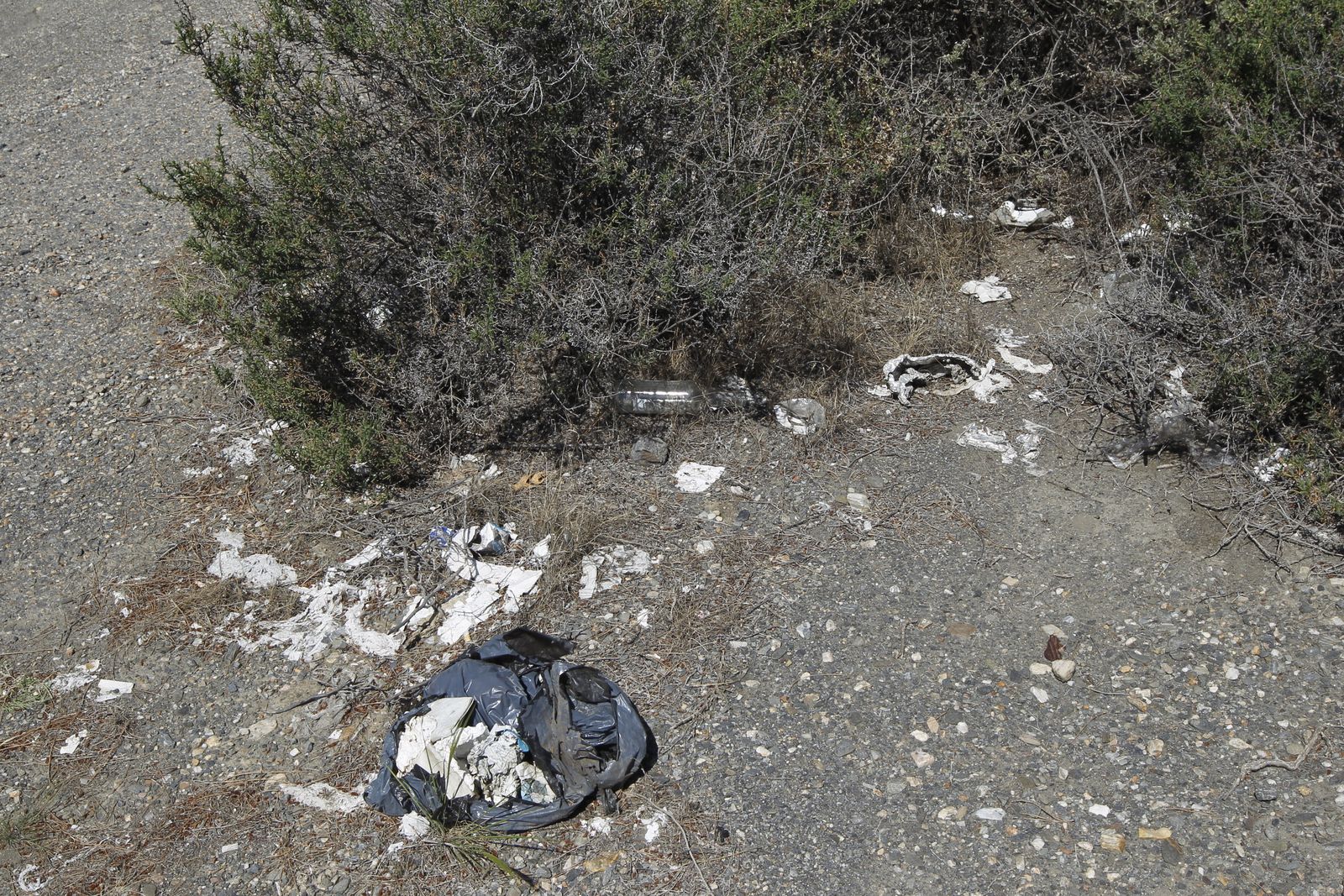 Fotogalería basura en el Desierto de Tabernas