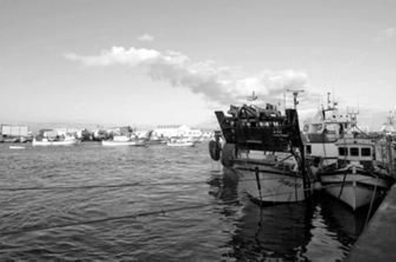 Frente al puerto pesquero de Isla Cristina se sitúa una pequeña zona industrial, que tras el PGOU se verá reforzada.