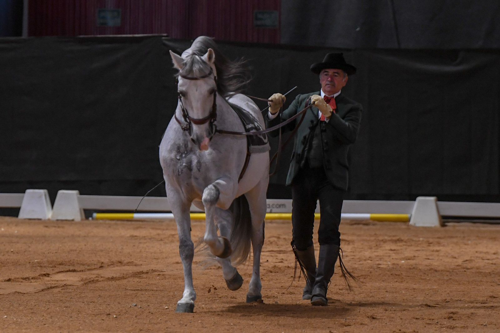 Las mejores imágenes de Concab