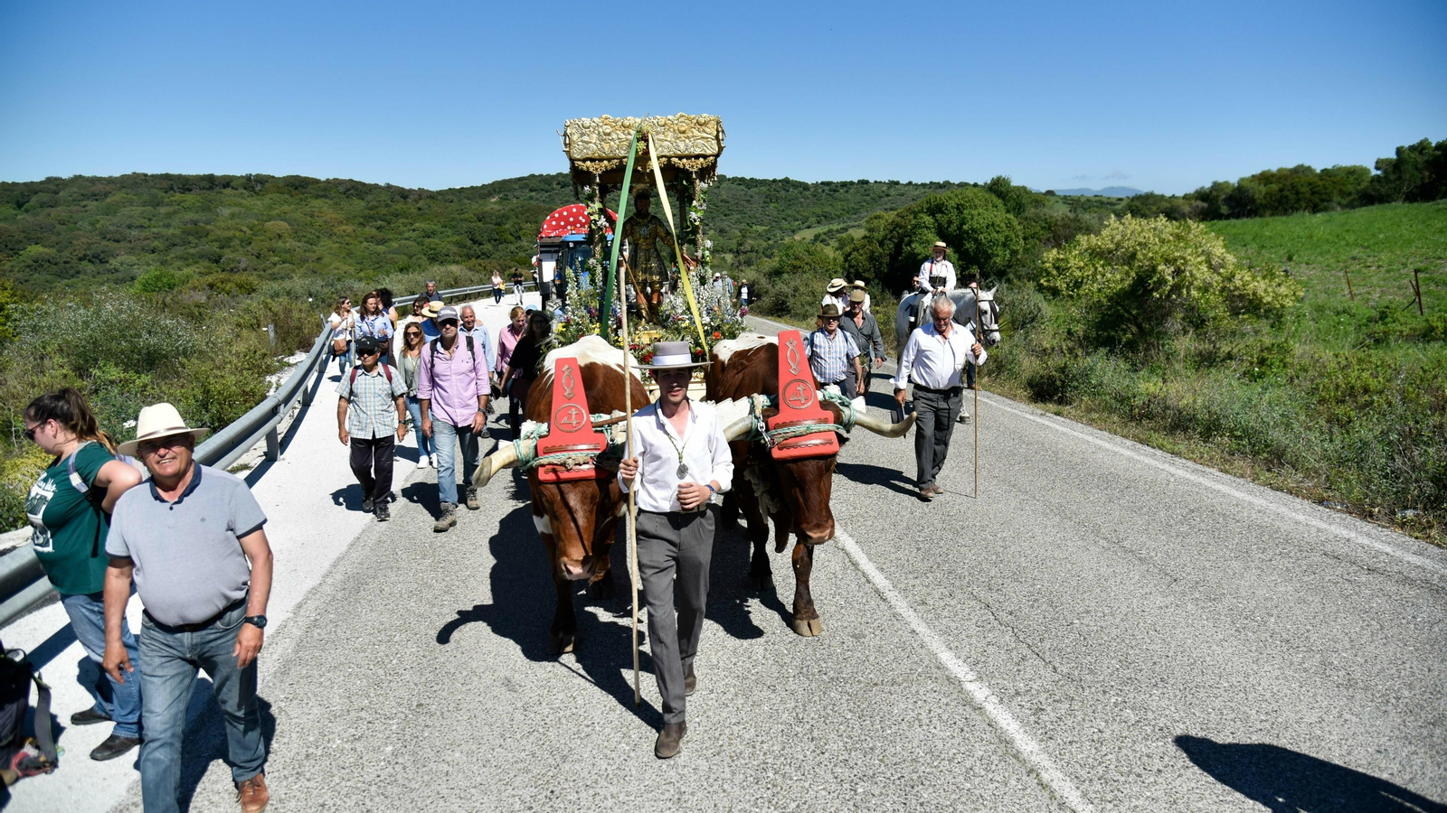 La romería de Los Barrios en imágenes