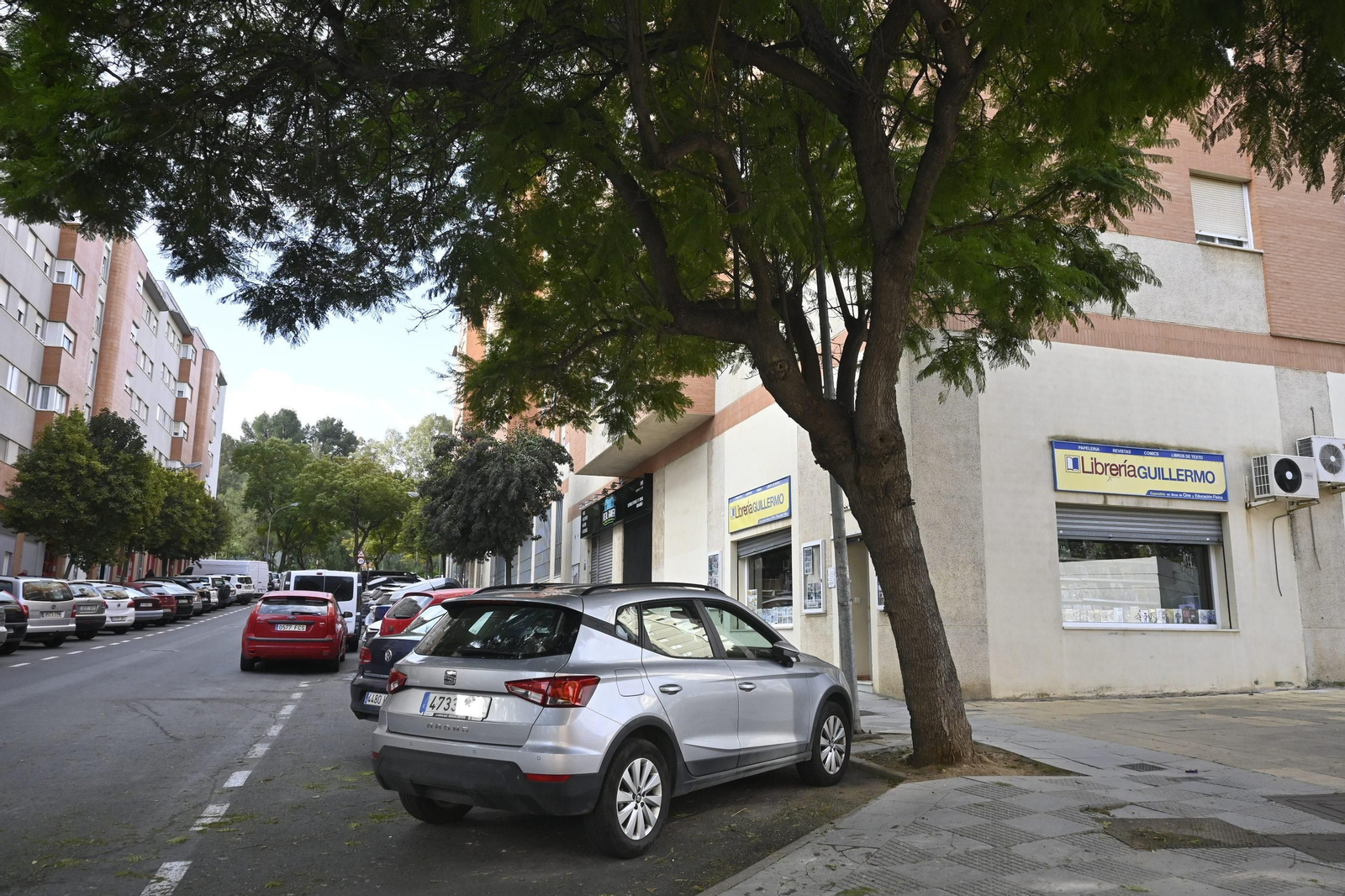 Barrio a Barrio: Imágenes de San Sebastián