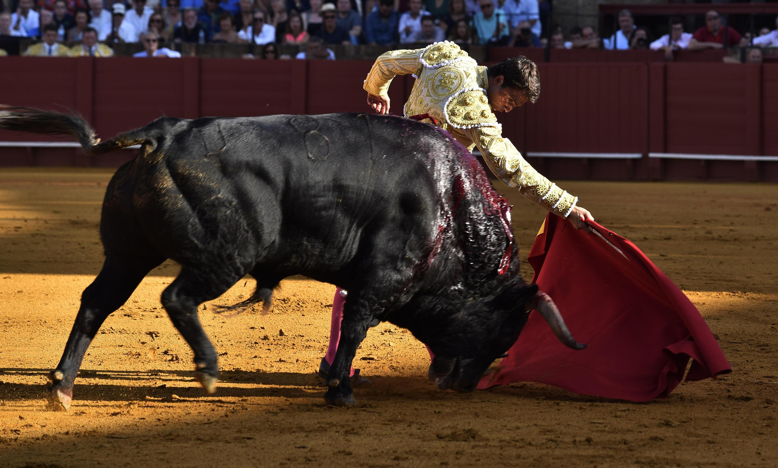 La segunda corrida de la Feria de San Miguel, en imágenes