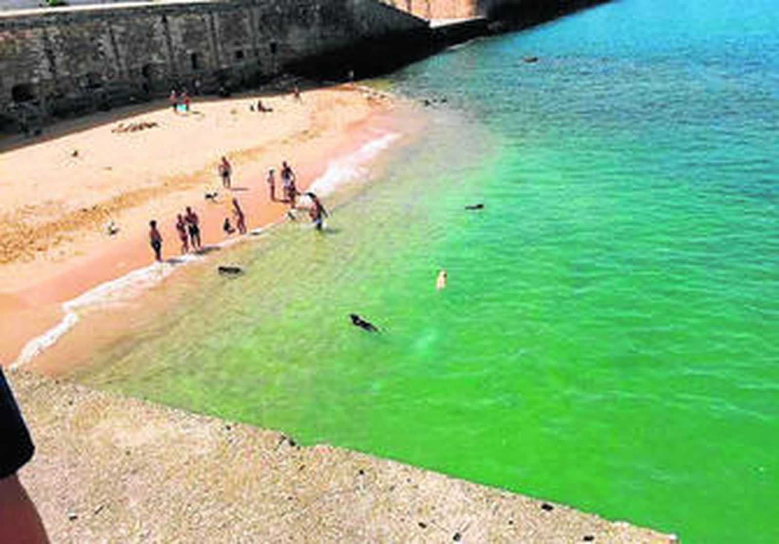 Muchos gaditanos llevan a sus perros a jugar en la zona de San Felipe.