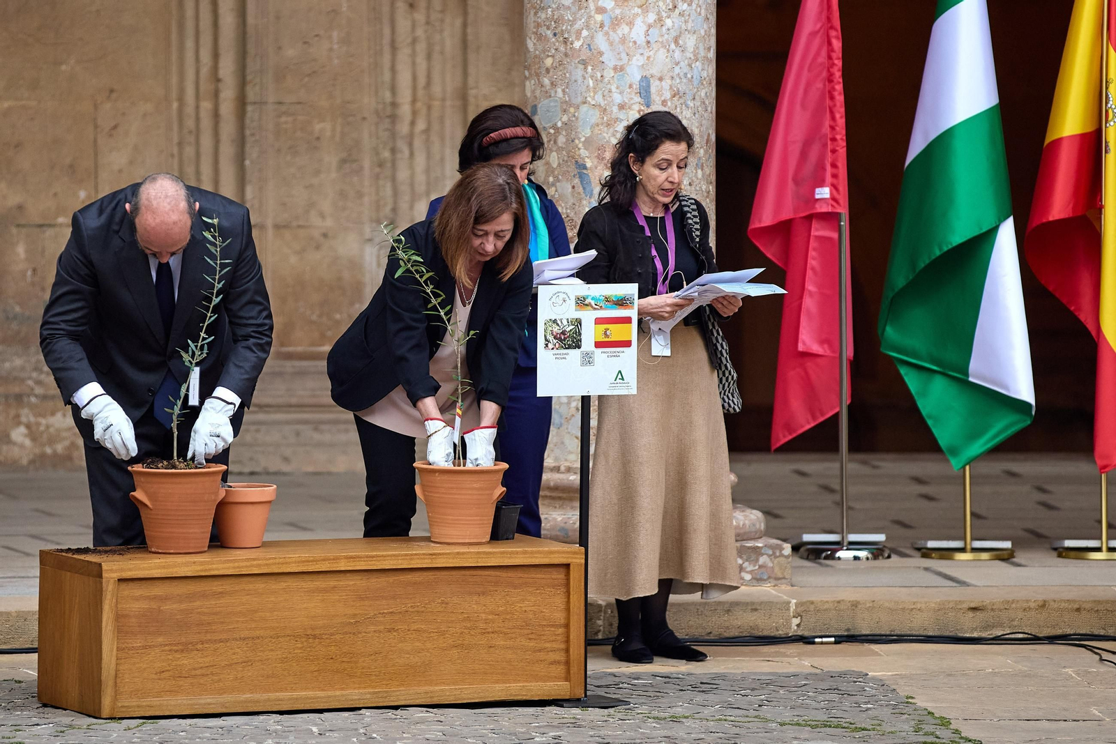 Todas las imágenes de la plantación del jardín de la paz en la Alhambra de Granada