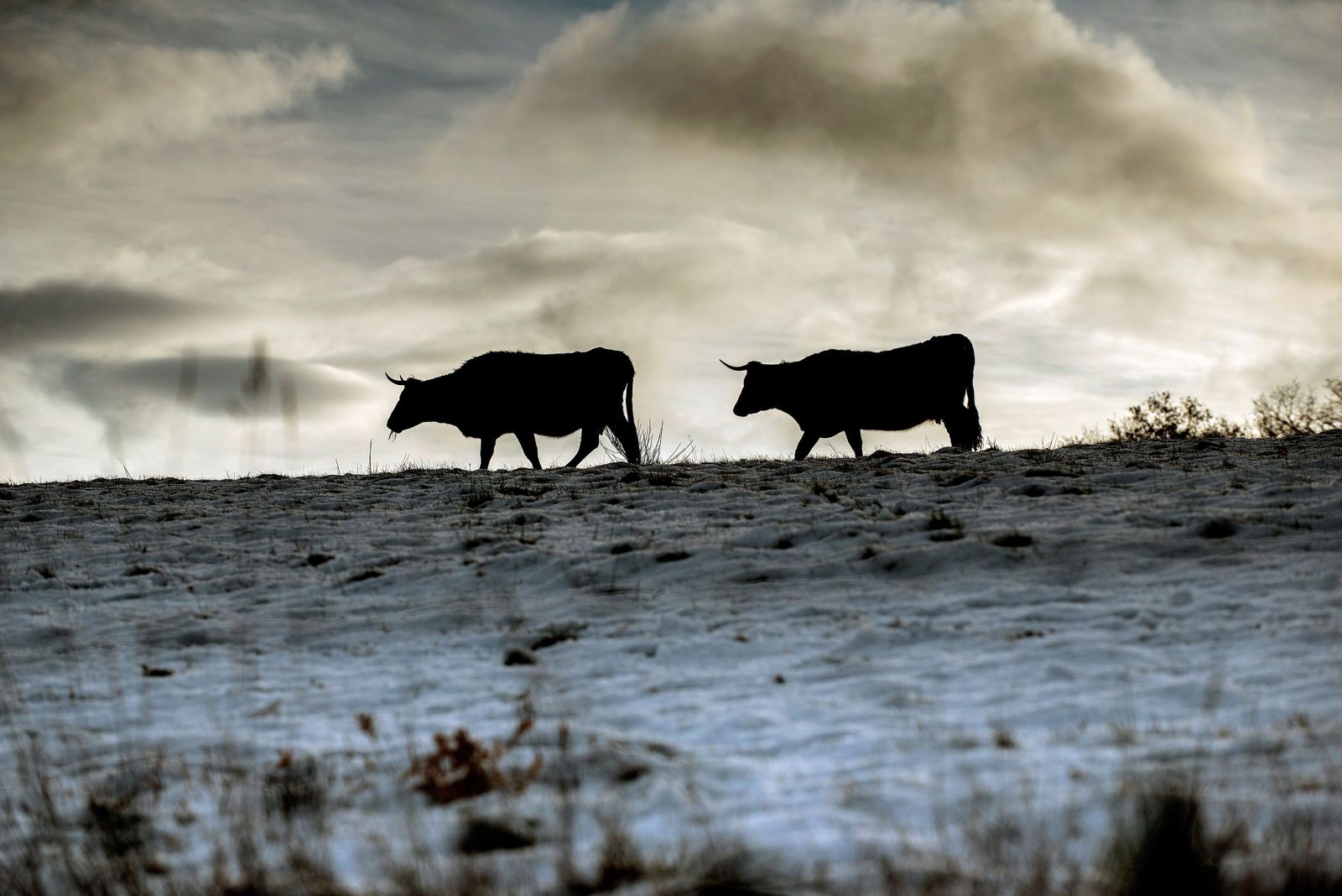 Temporal de frío y nieve en el norte del país.