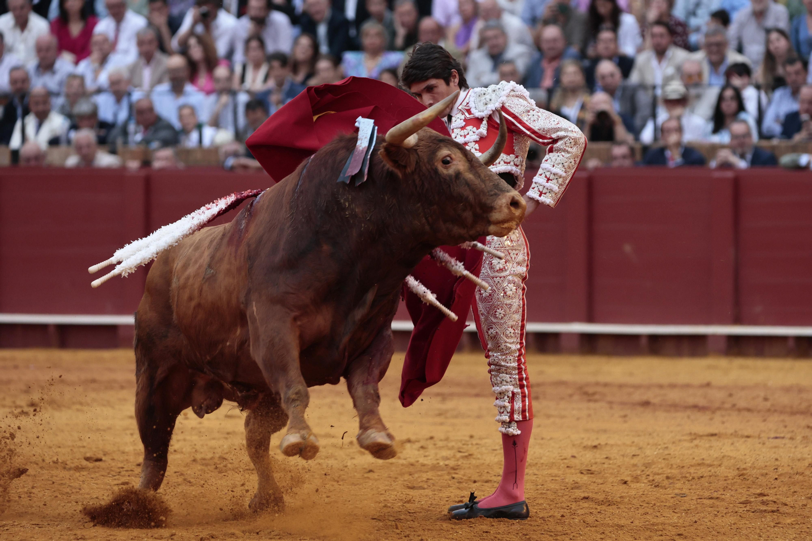 Las imágenes del festejo
