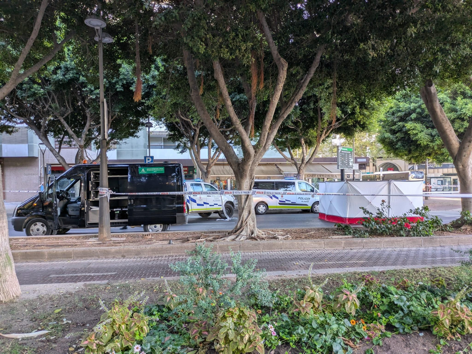 WhatsApp Image 2025 09 11 at 09.29.00 (1)