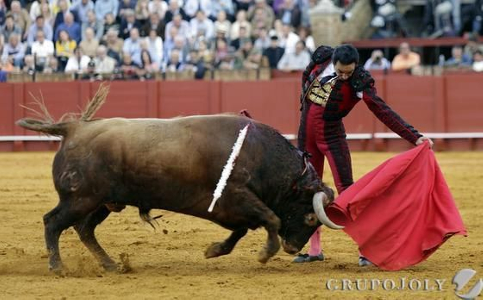 Miguel Abellán. / Juan Carlos Muñoz