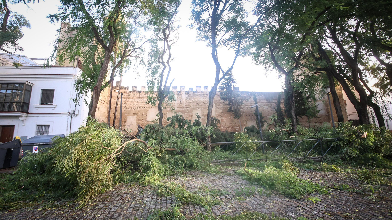 Caos en Jerez por los destrozos del temporal de viento