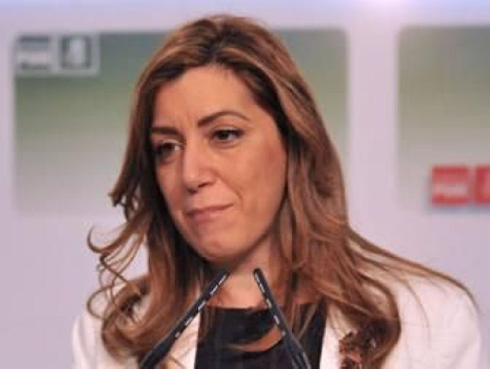 Villalobos asegura la candidatura de Díaz "es mayoría"