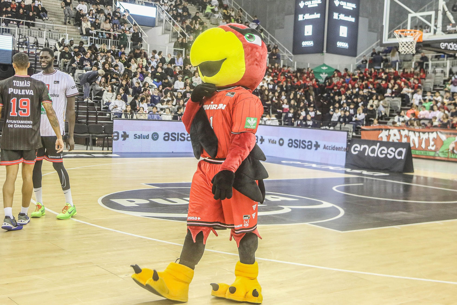 Las mejores imágenes del Fenix Camp en el Palacio