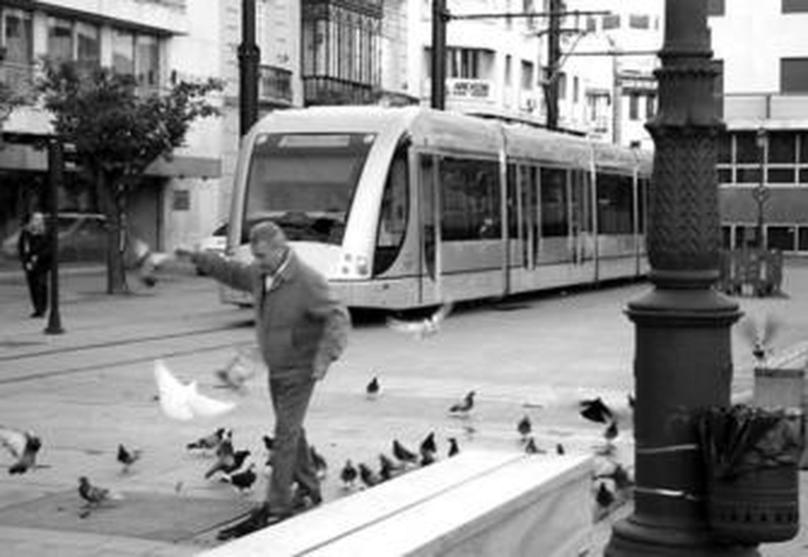 Aspecto de un vagón del Metrocentro, un tranvía que recorre el centro histórico sevillano.