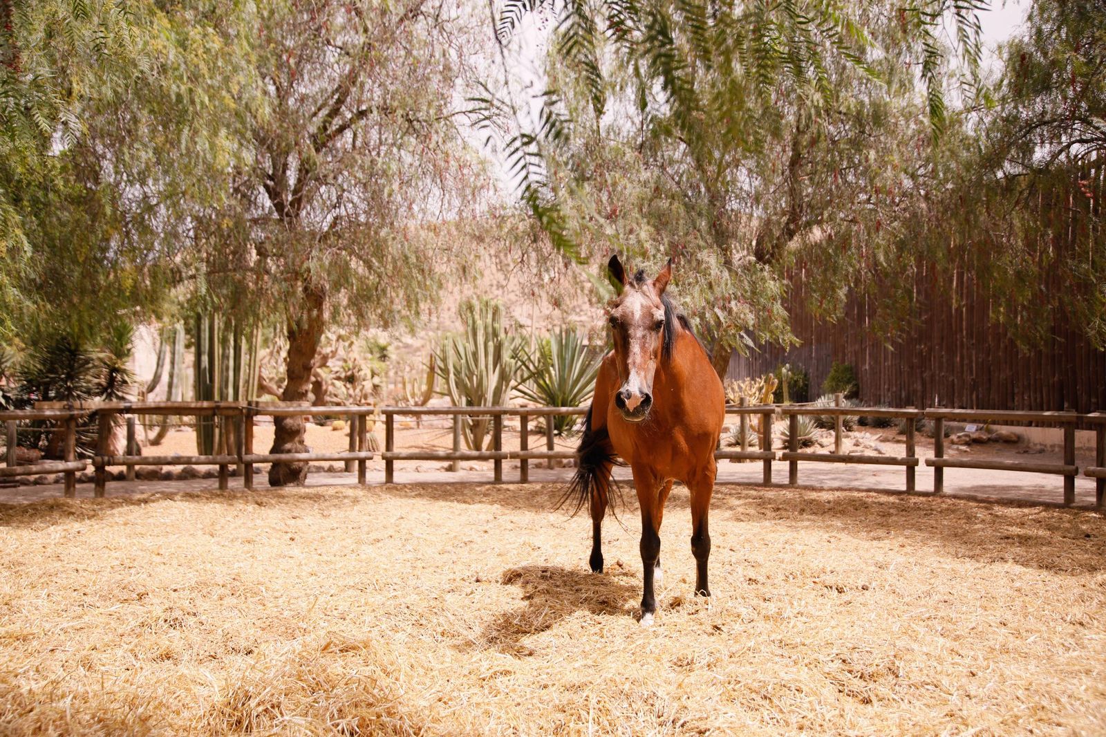 Imágenes del museo a los grandes empresarios y familias históricas de Almería