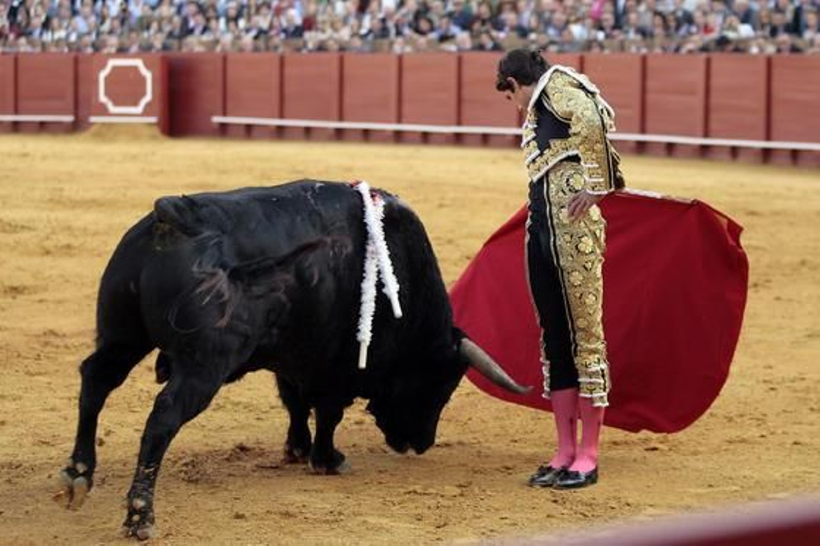 Castella./ Juan Carlos Muñoz