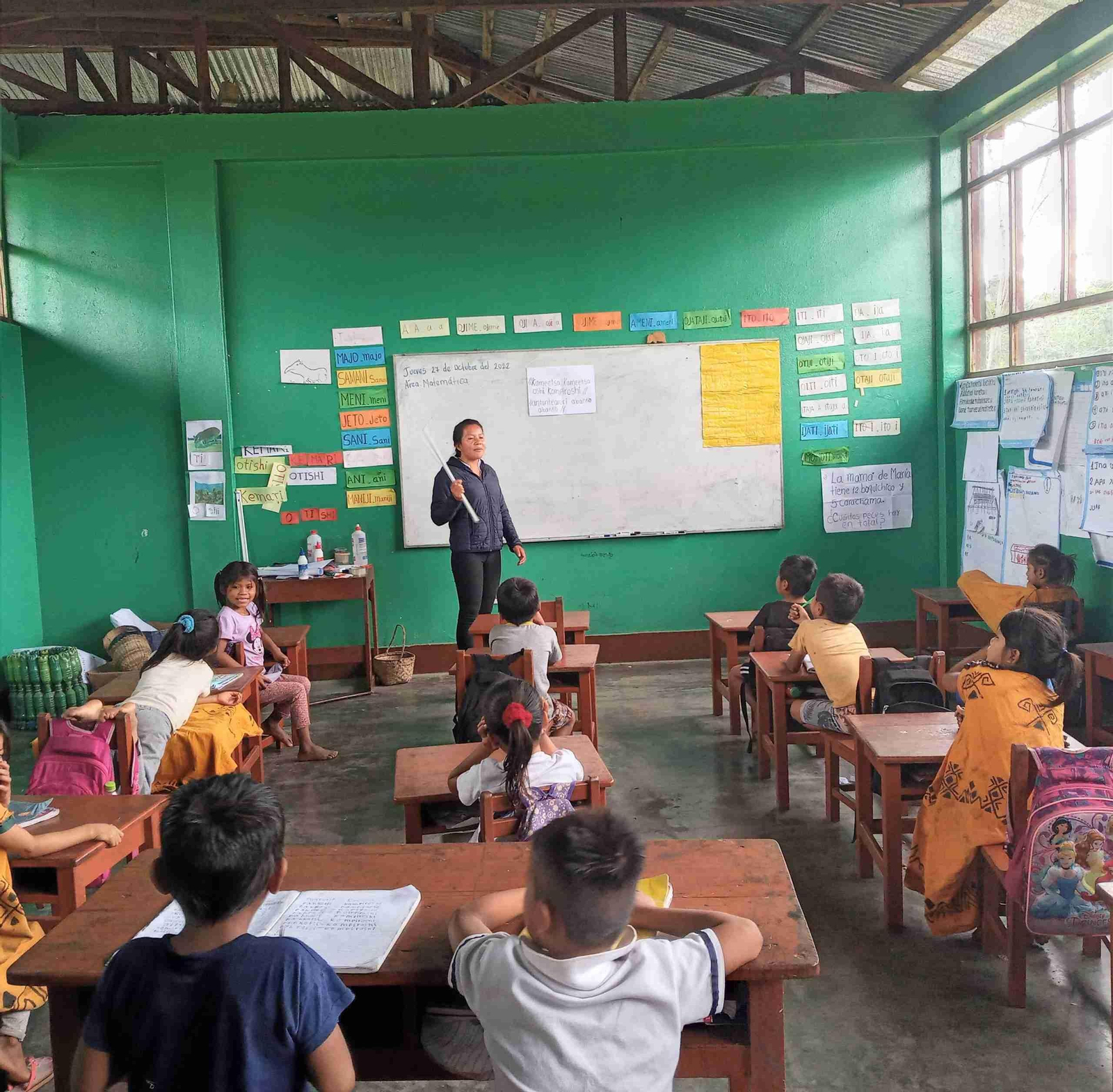 Una imagen del Proyecto Nopoki.