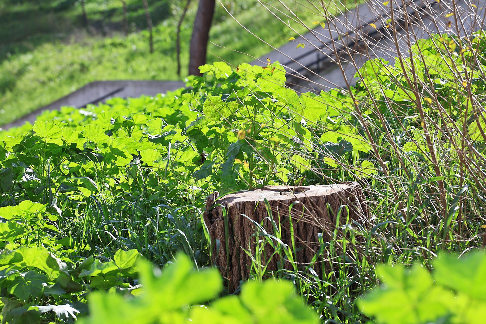 Las fotografías de la mañana del martes en Huelva