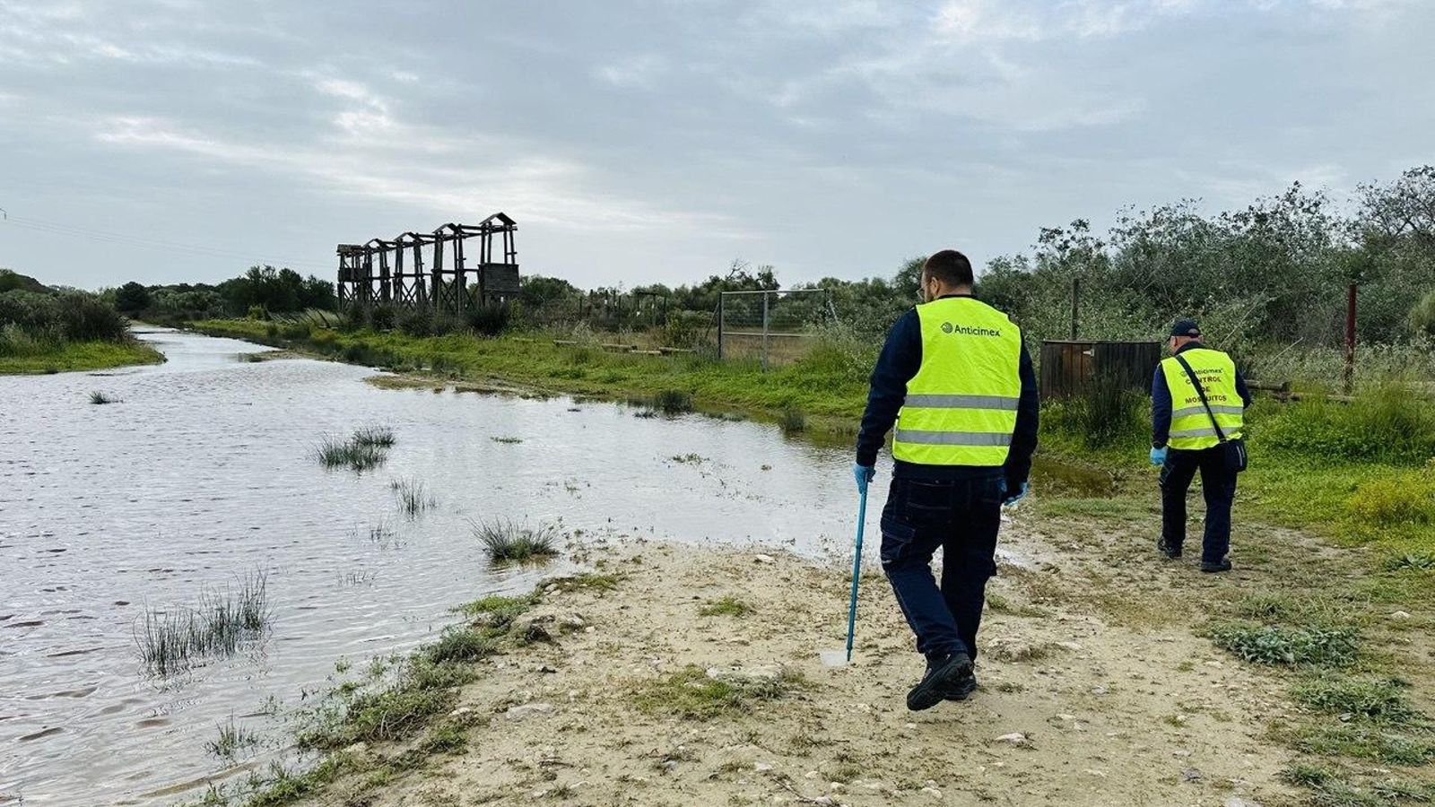 Tratamiento contra las larvas de mosquitos en El Puerto