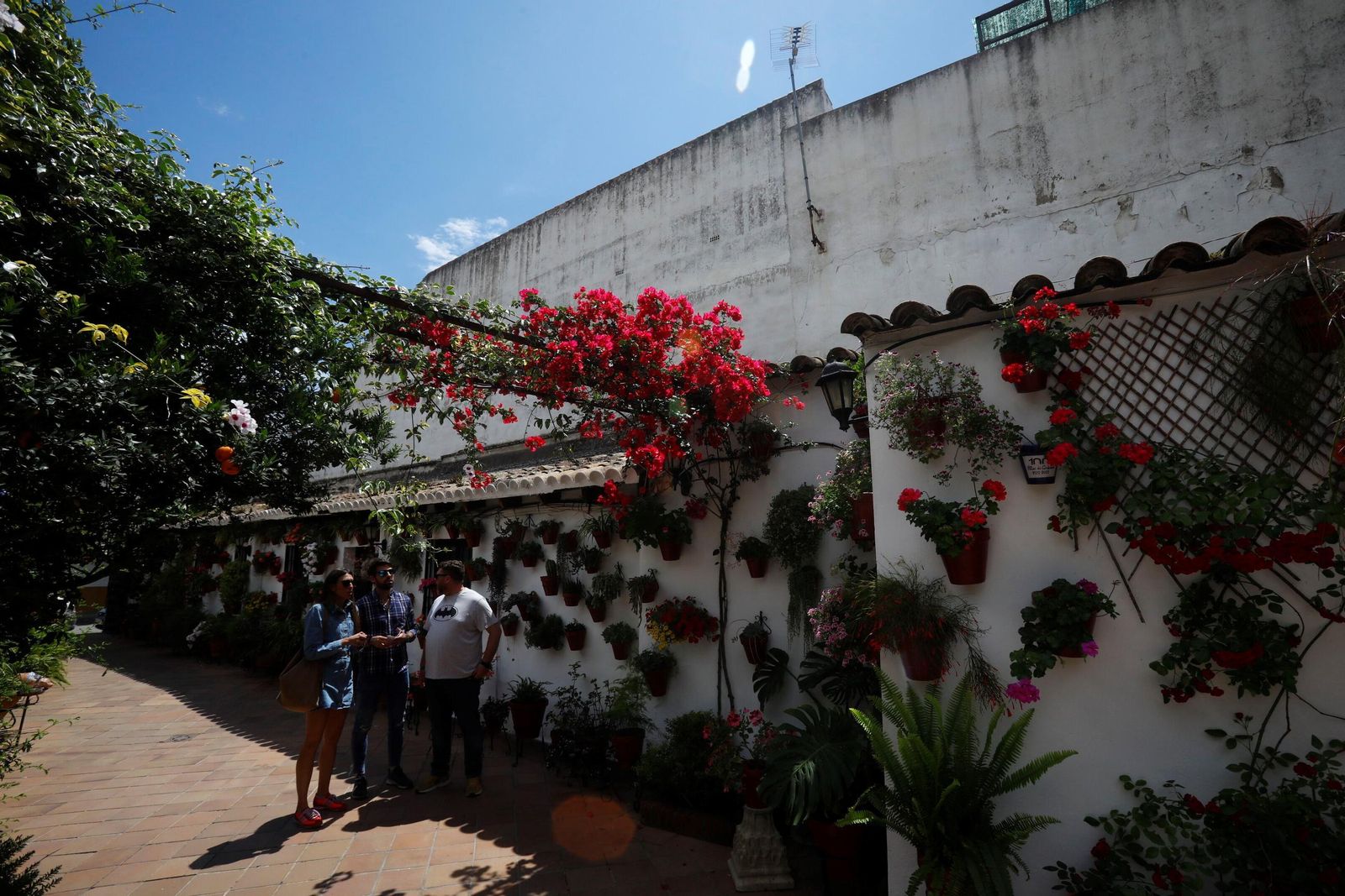 Un recorrido en imágenes por los patios de la ruta Regina-Realejo