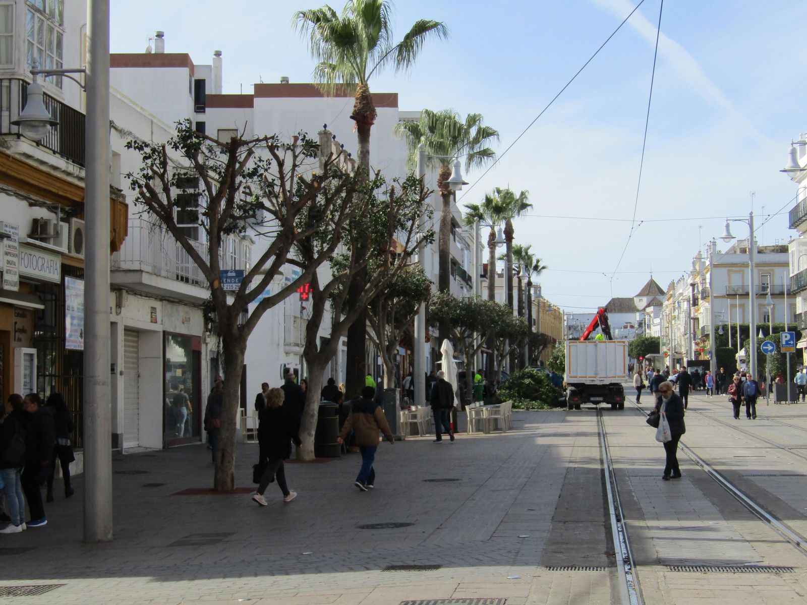 Labores de poda de árboles de la calle Real, en una imagen de archivo.