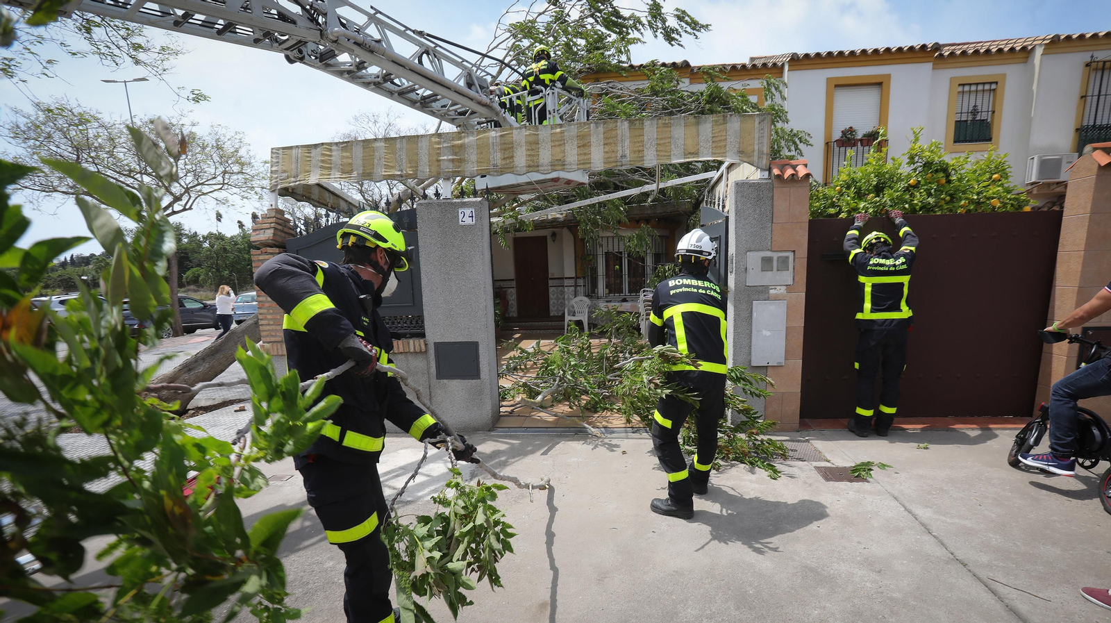 Cae un árbol en una casa por el fuerte temporal de viento que azota Jerez