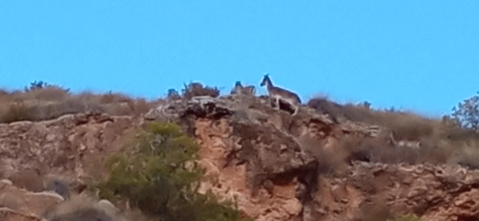 Las imágenes de la ruta Hinojares - Cuenca - Hinojares