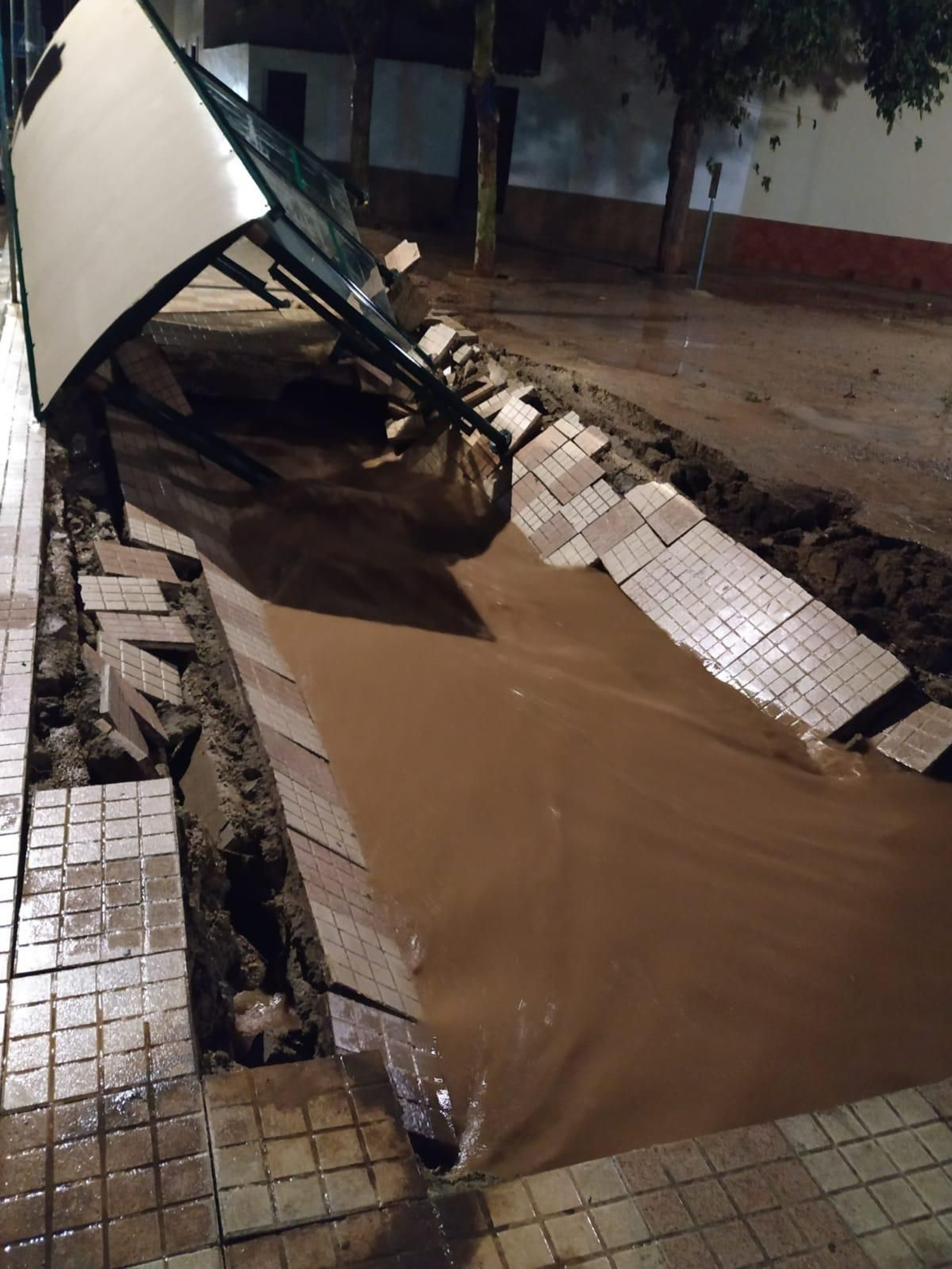 Las imágenes de las inundaciones en Campillos y otras localidades del interior