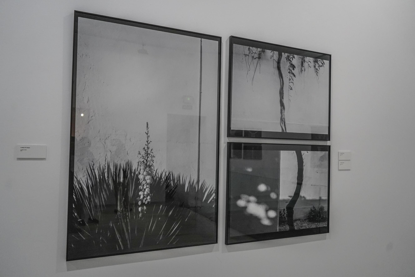 La UGR homenajea a Francisco Fernández