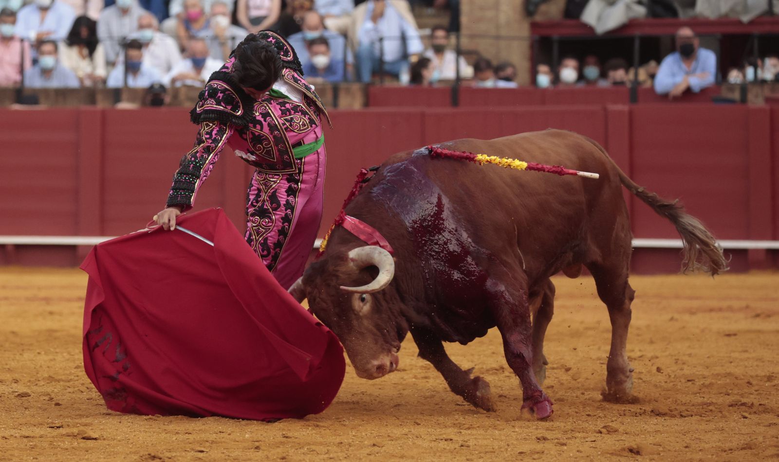 Las imágenes del triunfo de Morante en San Miguel