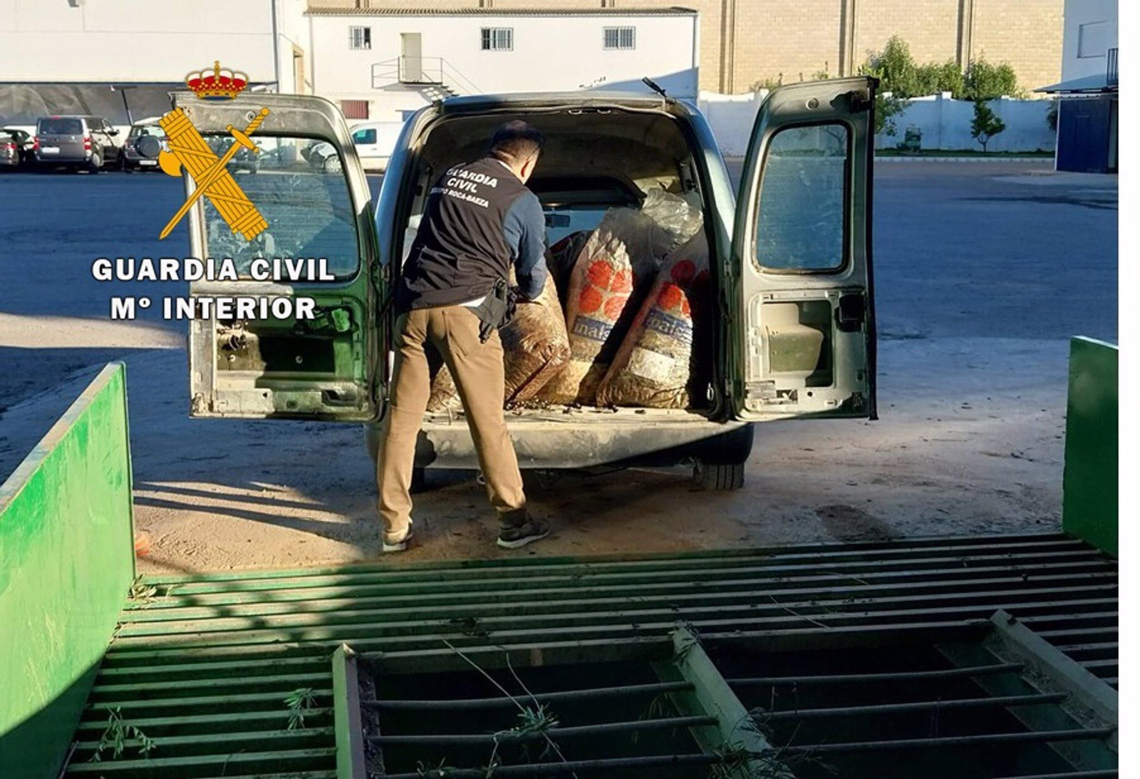 Un guardia civil requisa parte de la "mercancía" en una almazara.