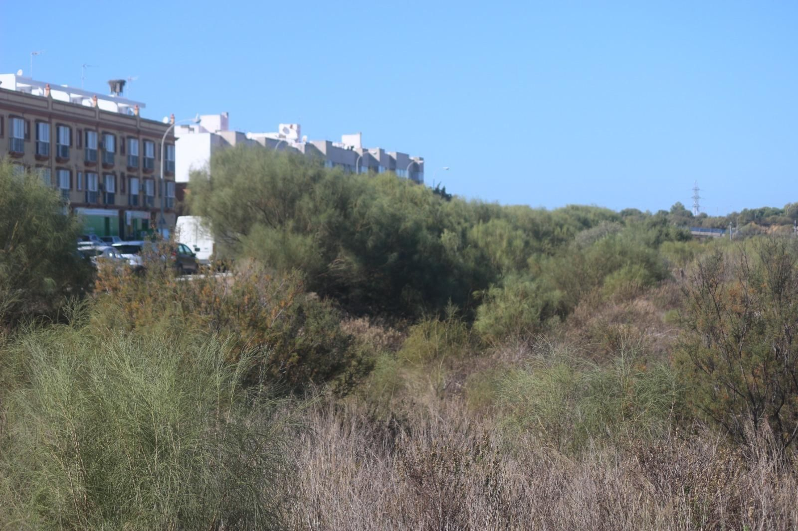 Parcela del polígono Entrevías de Puerto Real