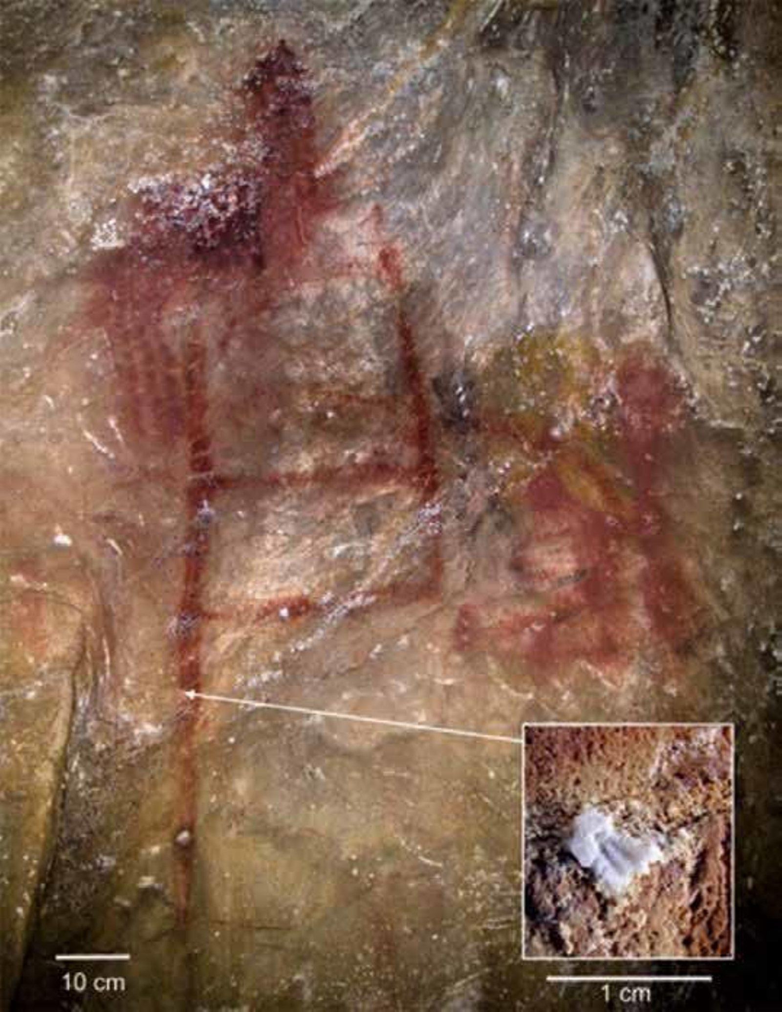 Cueva de La Pasiega, en Cantabria