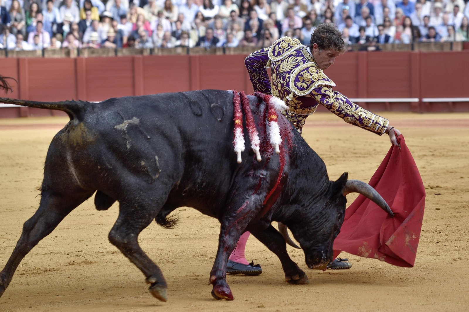 Las imágenes de la 14ª de abono de la Maestranza