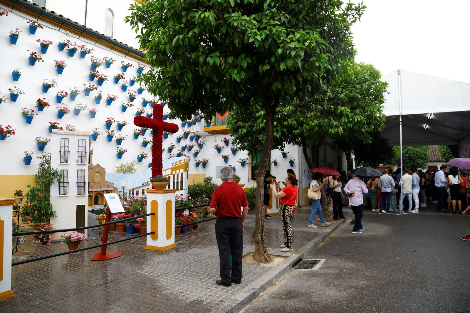 El sábado de Cruces en Córdoba, en imágenes