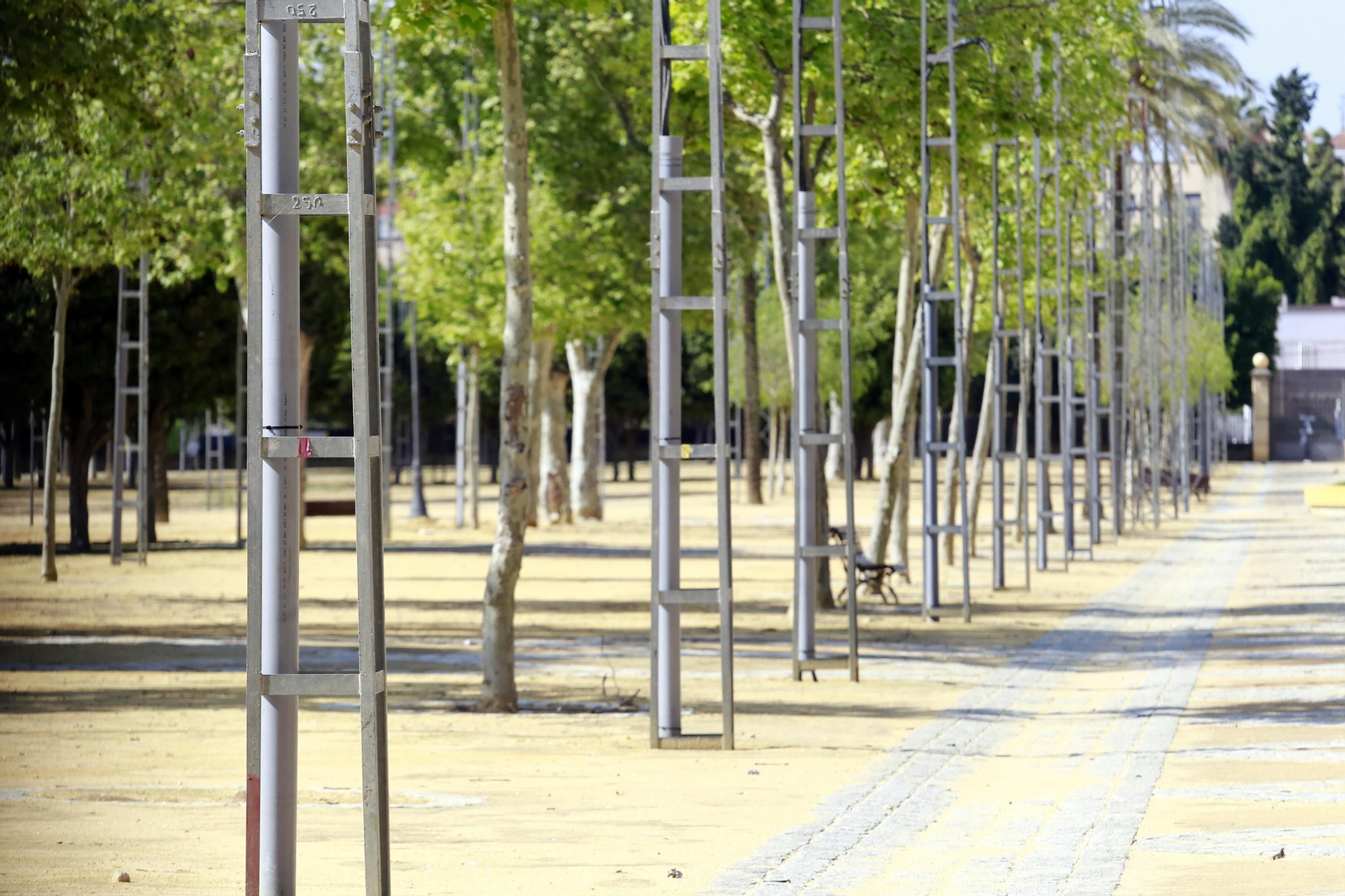 Coronavirus, imágenes del domingo 29 de marzo en Jerez