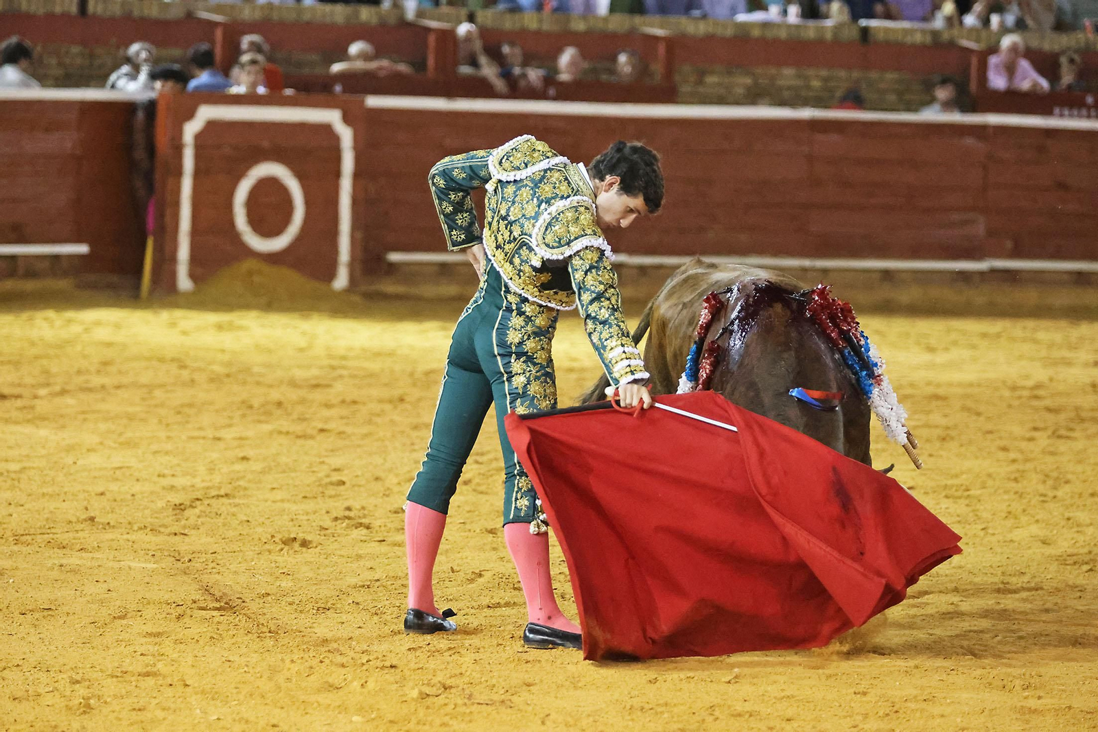 Toros La Merced 2024 Novillada con picadores(
